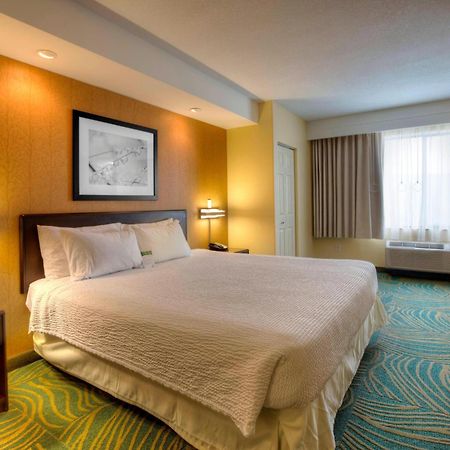 Springhill Suites By Marriott - Tampa Brandon Exteriör bild
