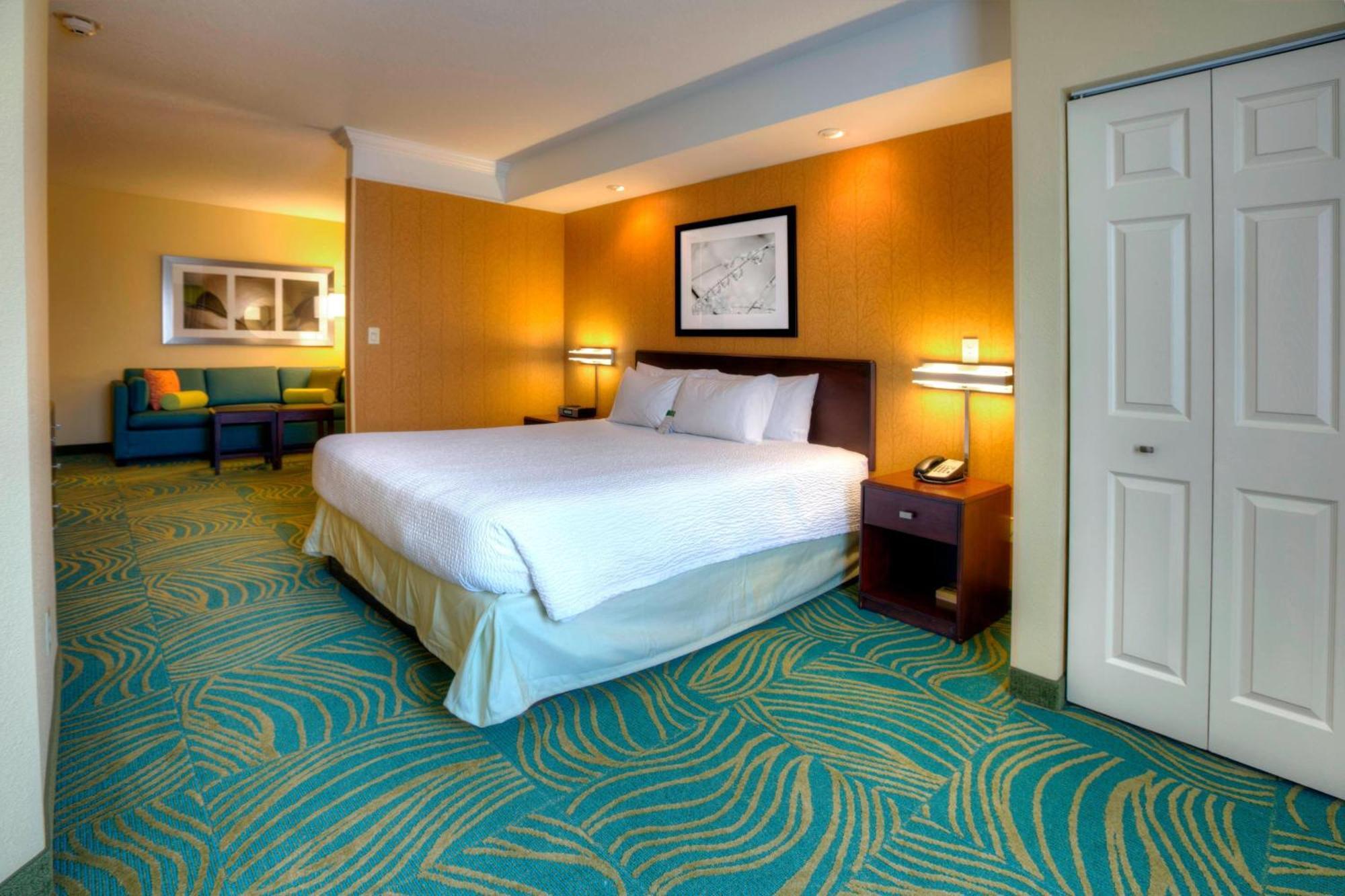 Springhill Suites By Marriott - Tampa Brandon Exteriör bild