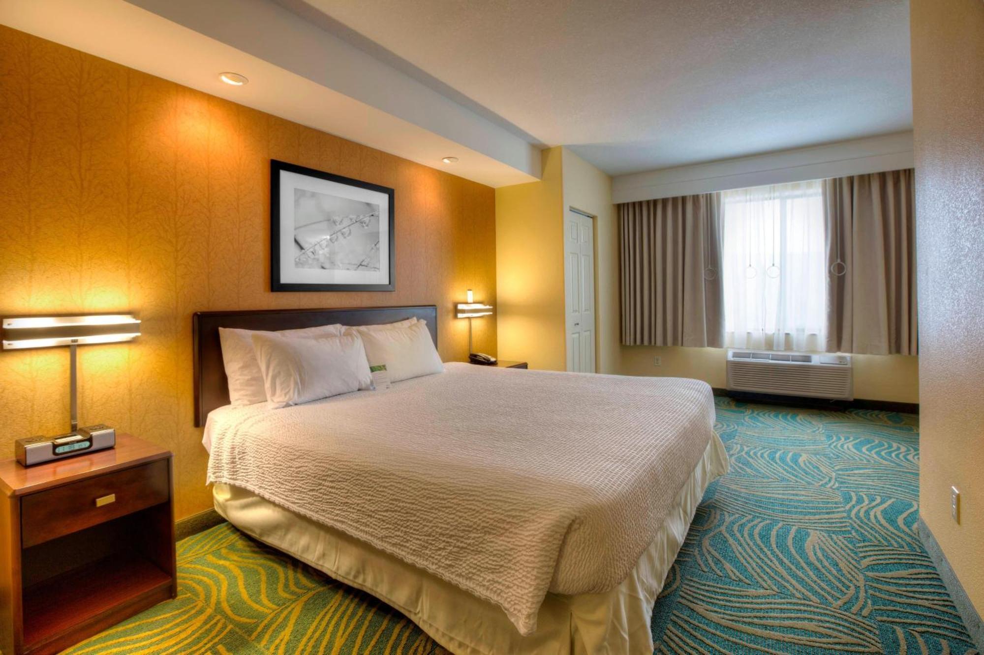 Springhill Suites By Marriott - Tampa Brandon Exteriör bild